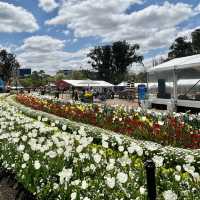 FLORIADE - a celebration of spring