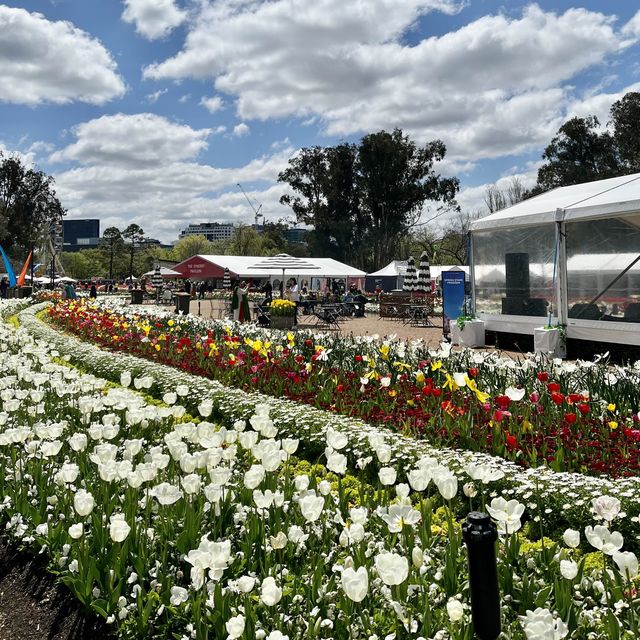 FLORIADE - a celebration of spring
