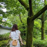 日本福井必去景點｜日式庭院🏡