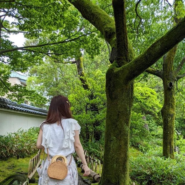 日本福井必去景點｜日式庭院🏡