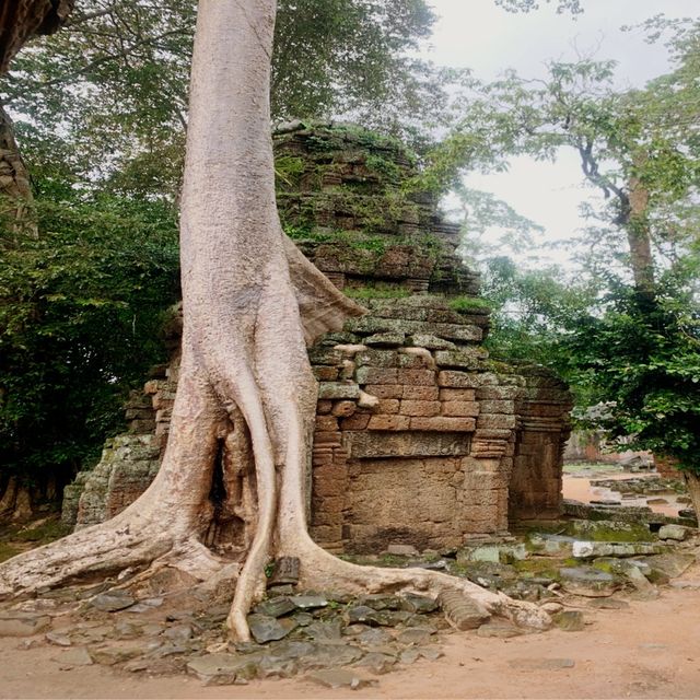 Angkor Wat Compley 163 Hectar
