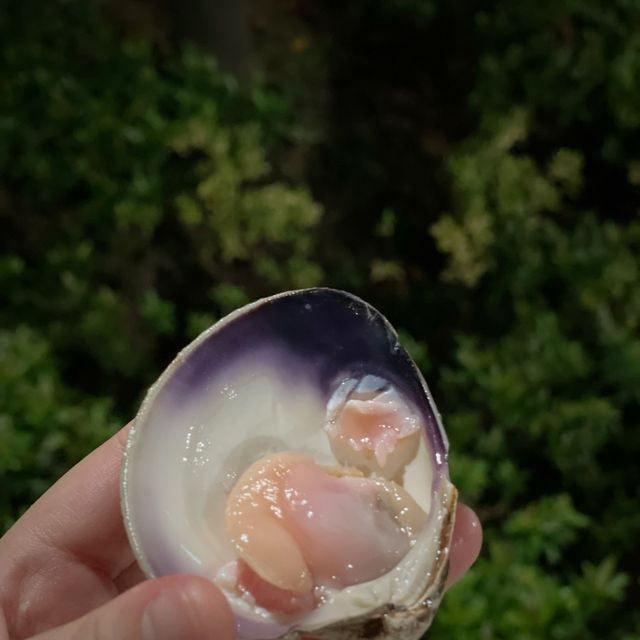 新鮮就係美味嘅保證來自Oyster Cove