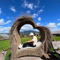 ตลาดชมทุ่ง วัดศรีมงคล-ก๋ง ท่าวังผา น่าน