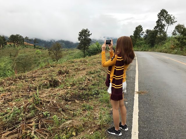 ดอยแม่สลอง แม่ฟ้าหลวง 