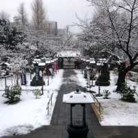 หนาวจับใจ..ได้สัมผัสหิมะแรกในชีวิตที่ Ueno