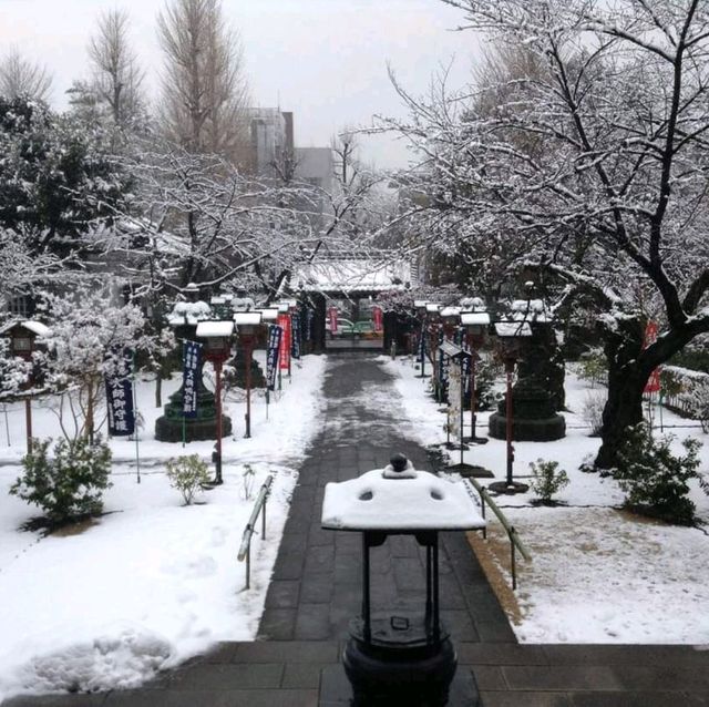 หนาวจับใจ..ได้สัมผัสหิมะแรกในชีวิตที่ Ueno