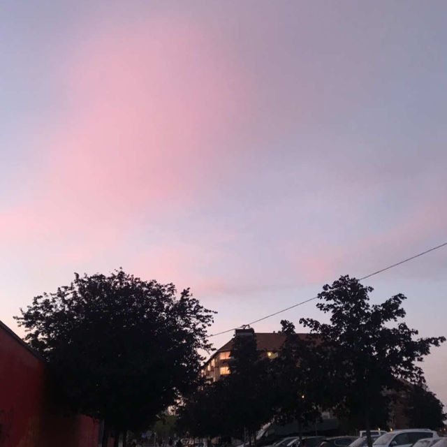 8月份既丹麥🇩🇰·瑞典馬爾默🇸🇪
