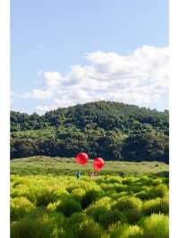 연천 가시면 여기도 가보세요 <댑싸리 공원>