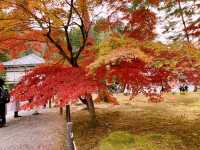 京都[紅葉めぐり]  南禅寺　三門の紅葉が絶景❗️