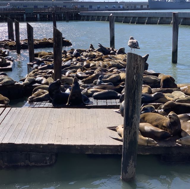Fisherman Wharf in San Francisco 