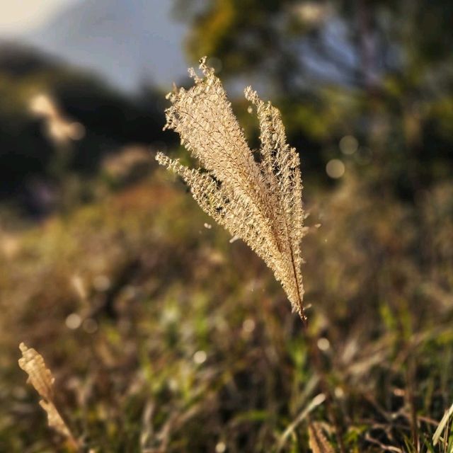 一期一會 大東山⛰🌾📷