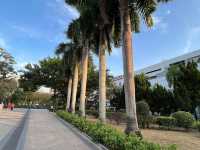 親子好地方｜賈炳達道公園