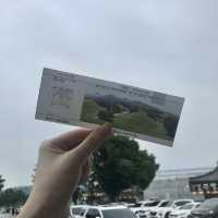 경주에 왔으면 대릉원은 가주자구요 🌳