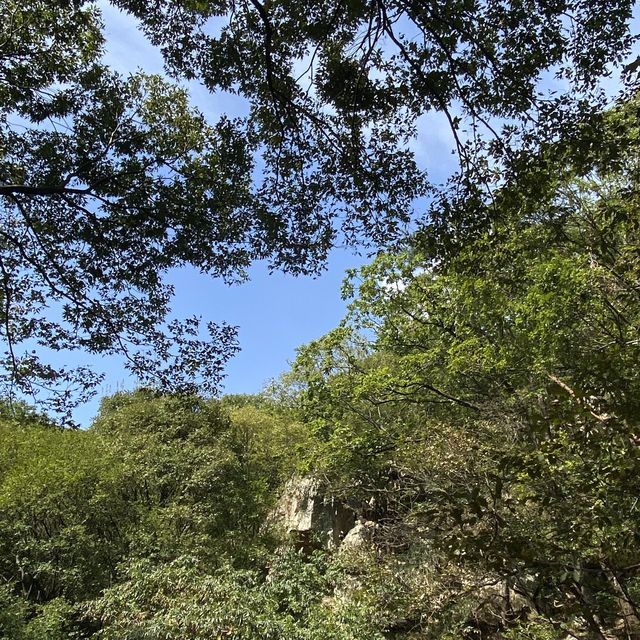 수리산도립공원에서 맑은 공기와 체력 보충하세요~