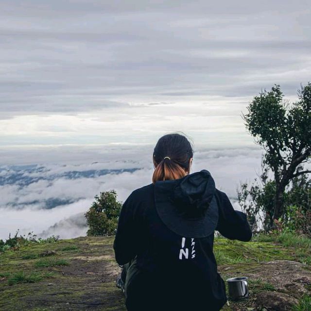 ⛰️ผาแง่ม ผาสองฤดู ขุนวาง จังหวัดเชียงใหม่⛰️