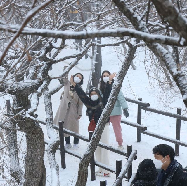 무주 덕유산 곤도라 타고 눈꽃구경!