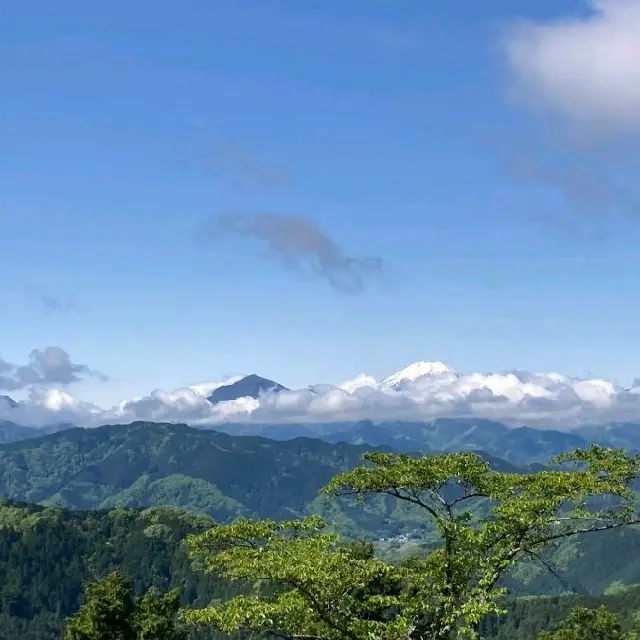 高尾山　春の朝