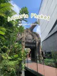🐬Aquarium Phuket อควาเรียม ที่ใหญ่ที่สุดในภูเก็ต