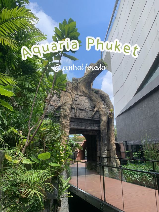 🐬Aquarium Phuket อควาเรียม ที่ใหญ่ที่สุดในภูเก็ต