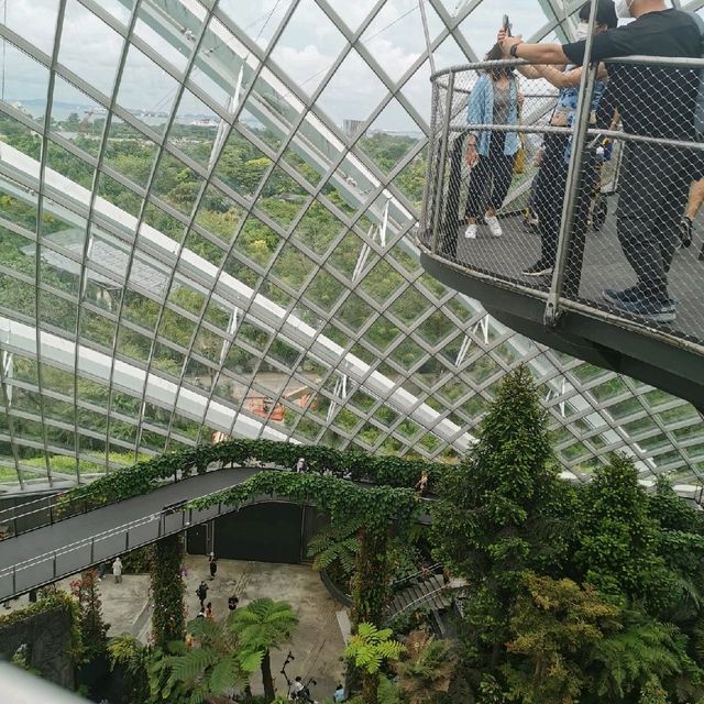 Zen like cloud forest