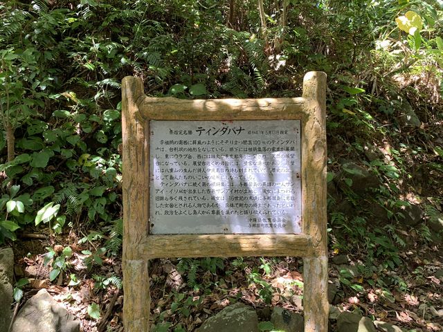 沖縄　離島旅行　日本最西端　与那国島ティンダバナが大迫力だった❗️