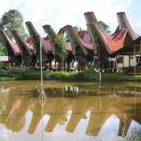 Rantepao - At the heart of Toraja rituals