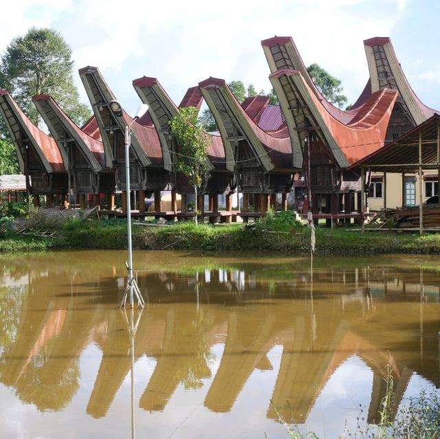Rantepao - At the heart of Toraja rituals