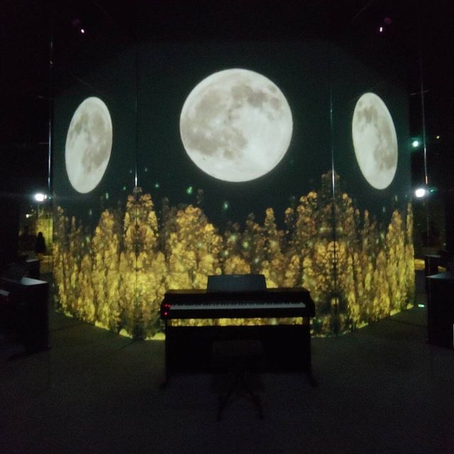 沉浸式數碼藝術博物館 ARTE M 登陸香港