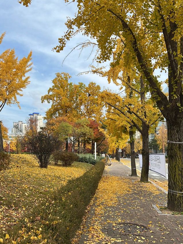 Autumn View of Samsung Library