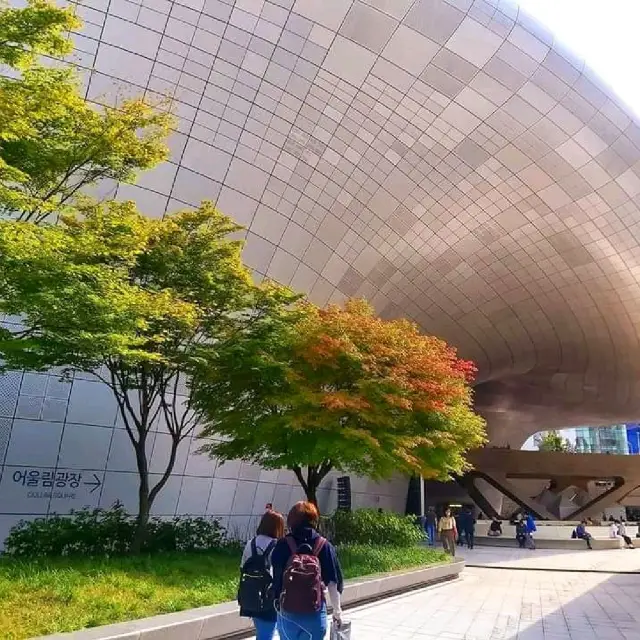 DDP (Dongdaemun Design Plaza)