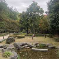 Best botanical garden in Seoul