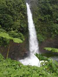 5 falls in one rainforest 😱