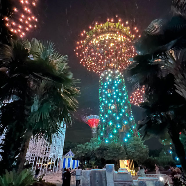 Skytree illumination