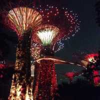 旅遊推介 新加坡🇸🇬站SupertreeGrove