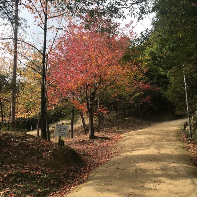 書寫山