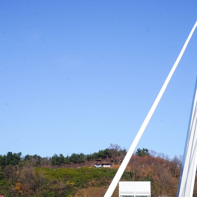 속초 여행 필수 코스 대포항