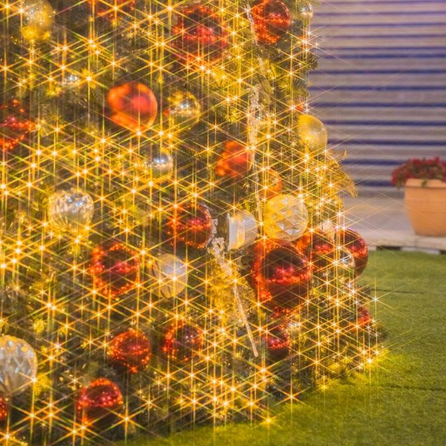 🎄대형트리와 사람없이 사진찍을 수 있는 부산스팟! [부산, 신세계프리미엄아울렛]