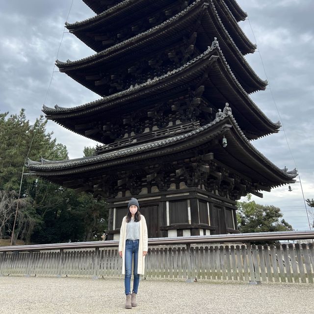日本奈良公園｜真的好多🦌鹿，一旁的烤地瓜攤販很好吃😍