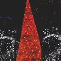 今年18回目の東京ドームシティのイルミネーション🎄✨