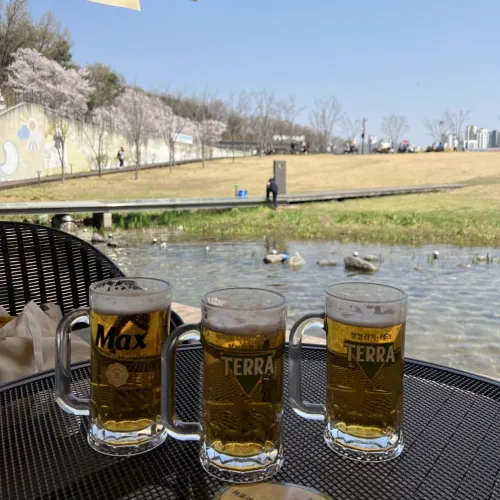 韓国/ソウル【江北区】ソウル西側の大きな公園🌸