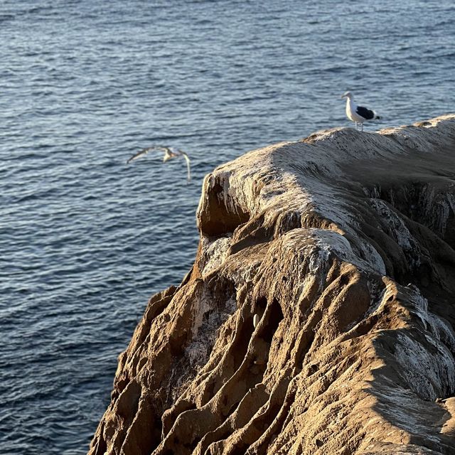 La Jolla is sunny, beautiful, unforgettable 