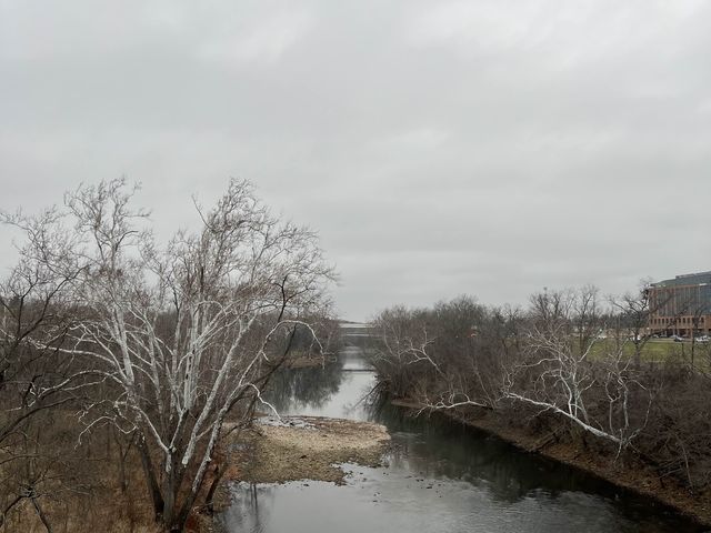 The Double Link Bridge - Dublin, Ohio 