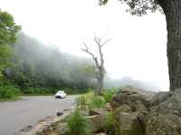 Shenandoah National park - USA