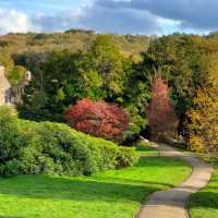 Beautiful Red Leaves Castle 