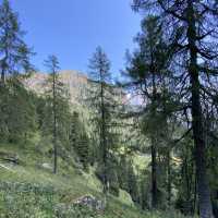 Hiking on the Alps - Malga Ces