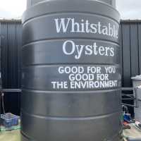 惠斯塔布 Whitstable 海邊生蠔小鎮一日散步遊