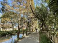 Cycling in Chongming Island