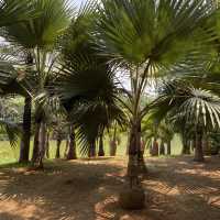 Manting Imperial Garden 