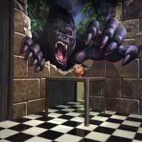 3D museum of illusion 