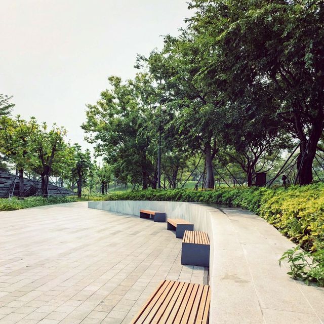 Qianhai bay area 😍